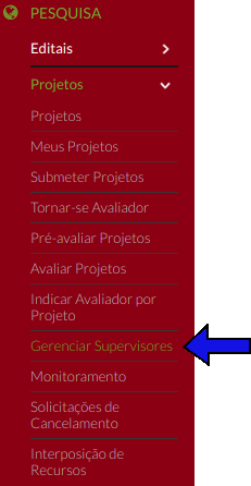 pesquisa-menu-gerenciar_avaliadores.png
