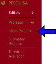 pesquisa-menu-meus_projetos.png