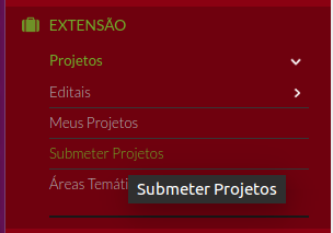 submissao_de_projeto.png